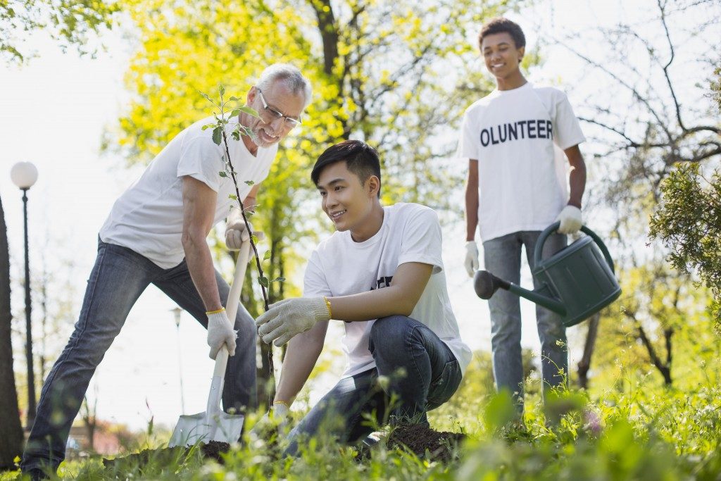 volunteers planting trees