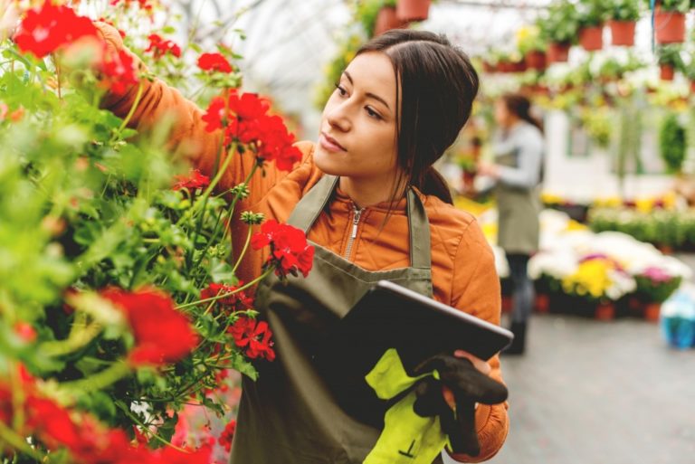 taking care of flowers