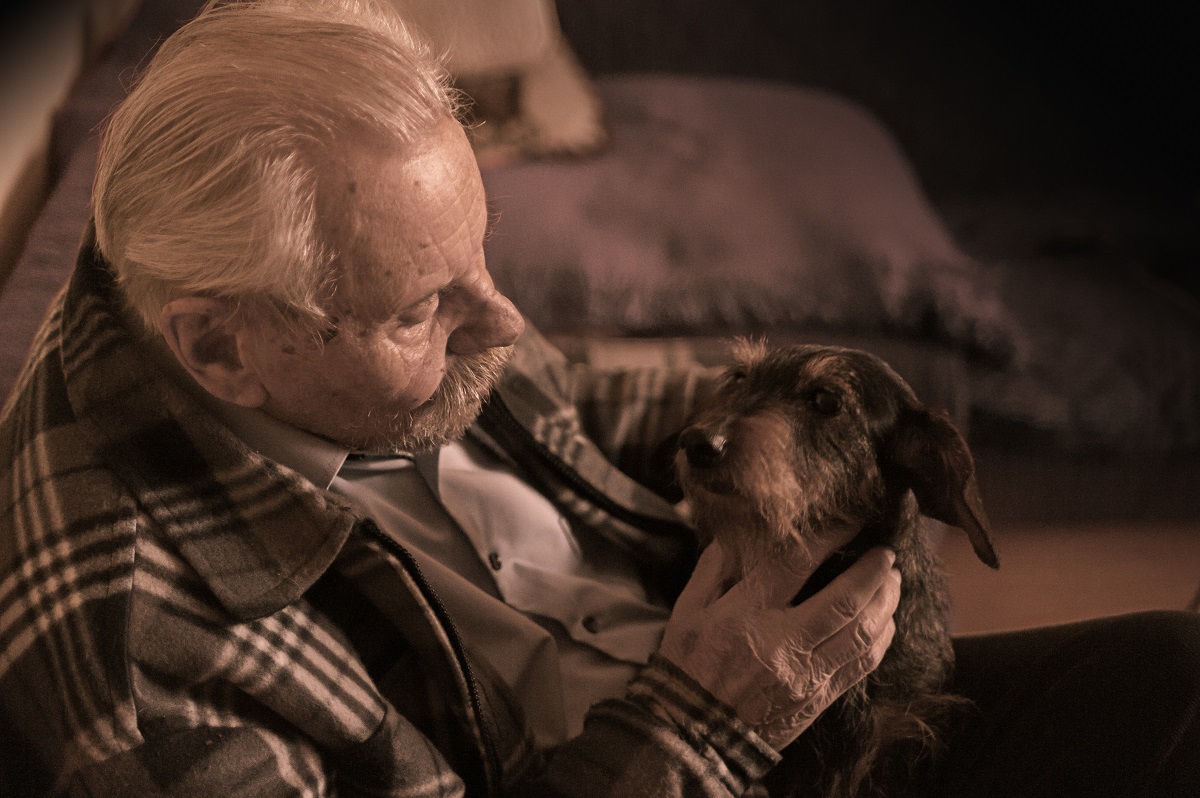 senior with pet dog