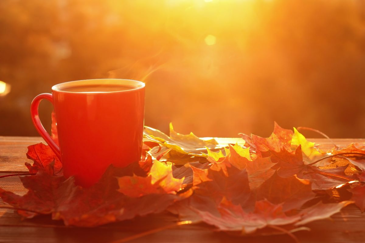 coffee mug on brown leaves from fall