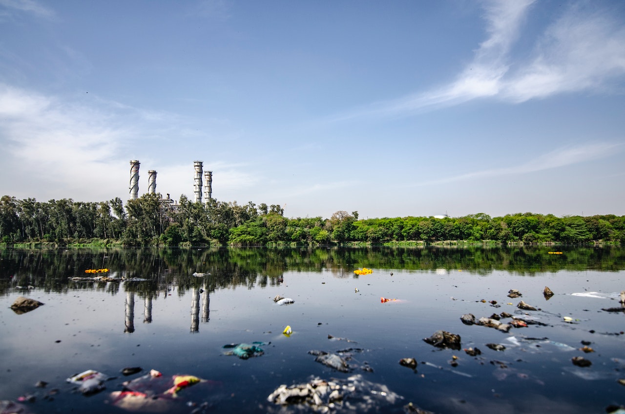 polluted lake