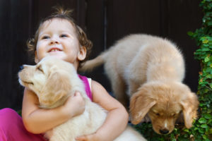 puppies with child