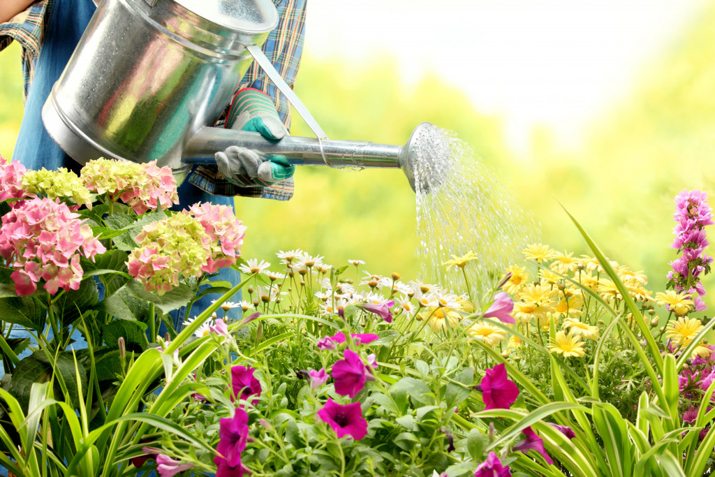 woman watering flowers