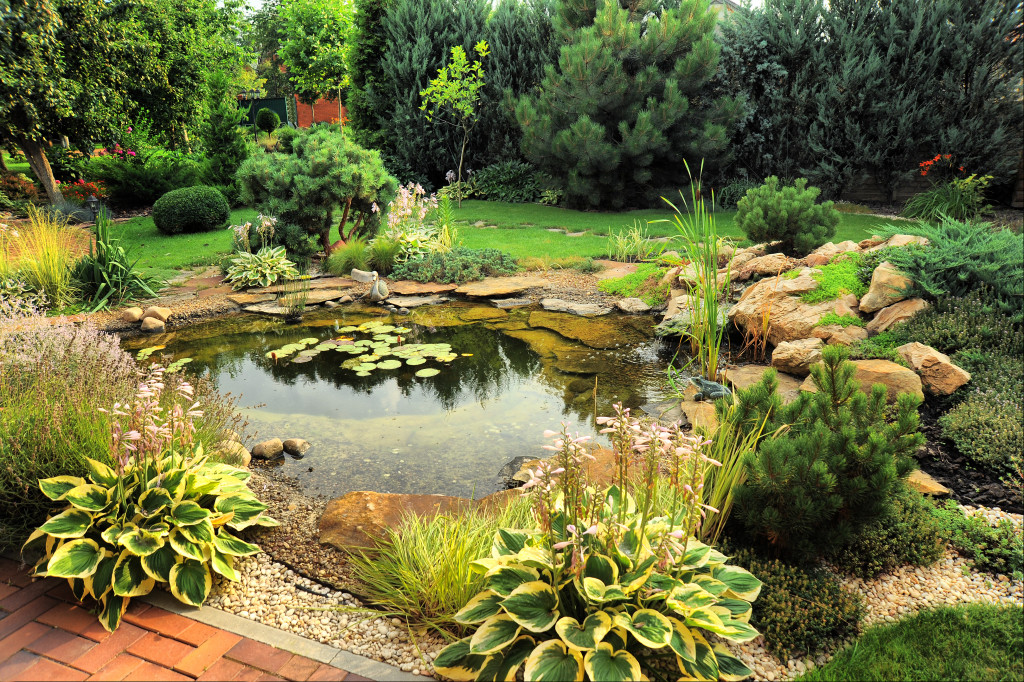 A pond in the middle of a garden with surrounding plants