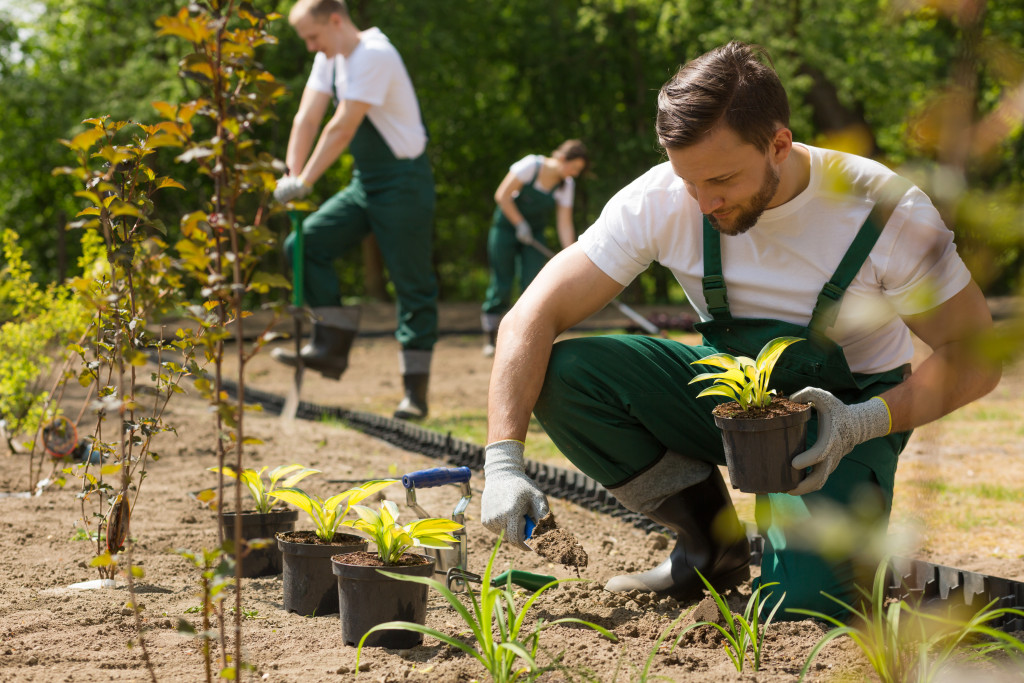 Young gardener in dungarees planting flowers in the sunny park