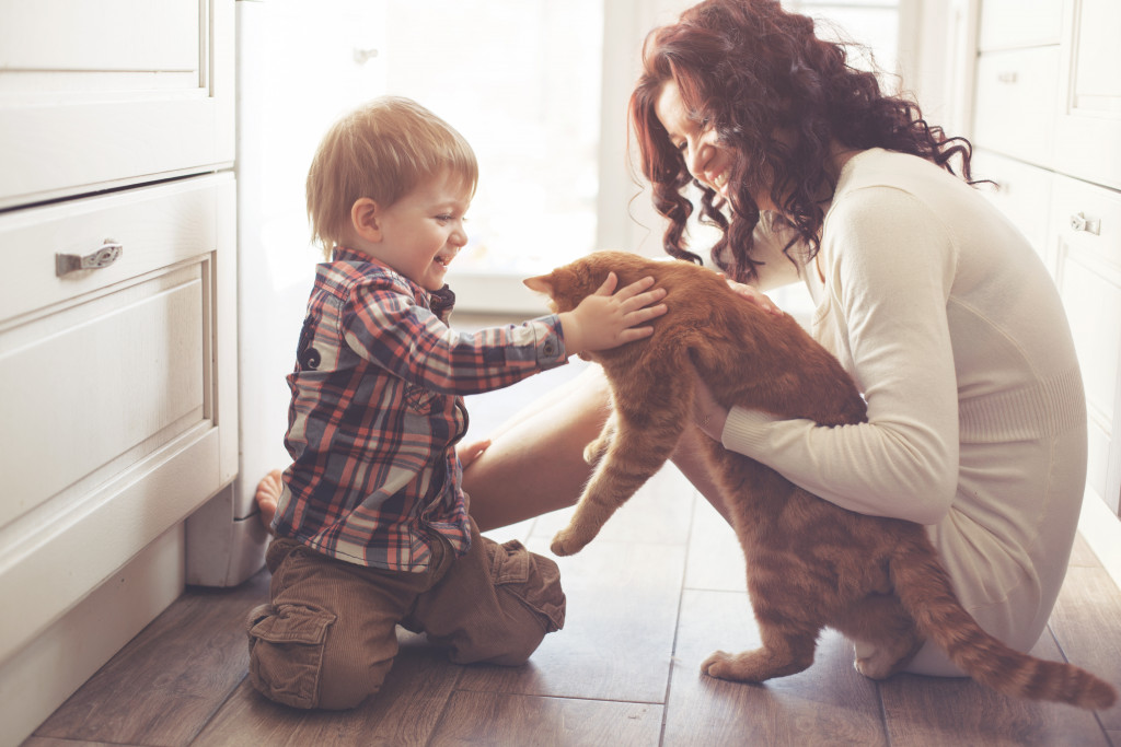 son wants to pet the cat holding by mom