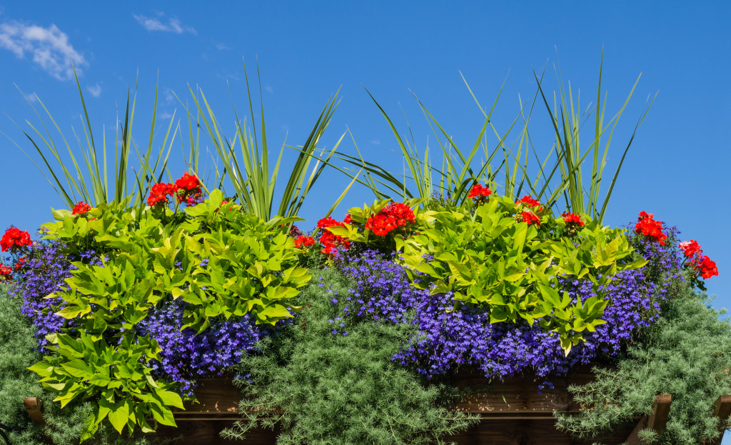 mix of flowers and plants