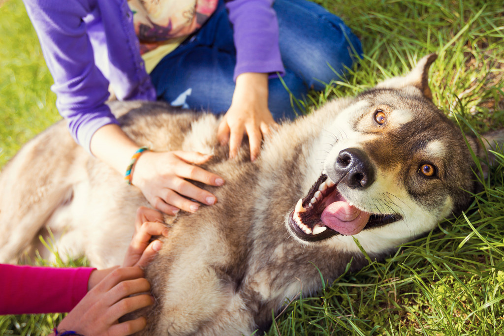 Dog and children outdoors