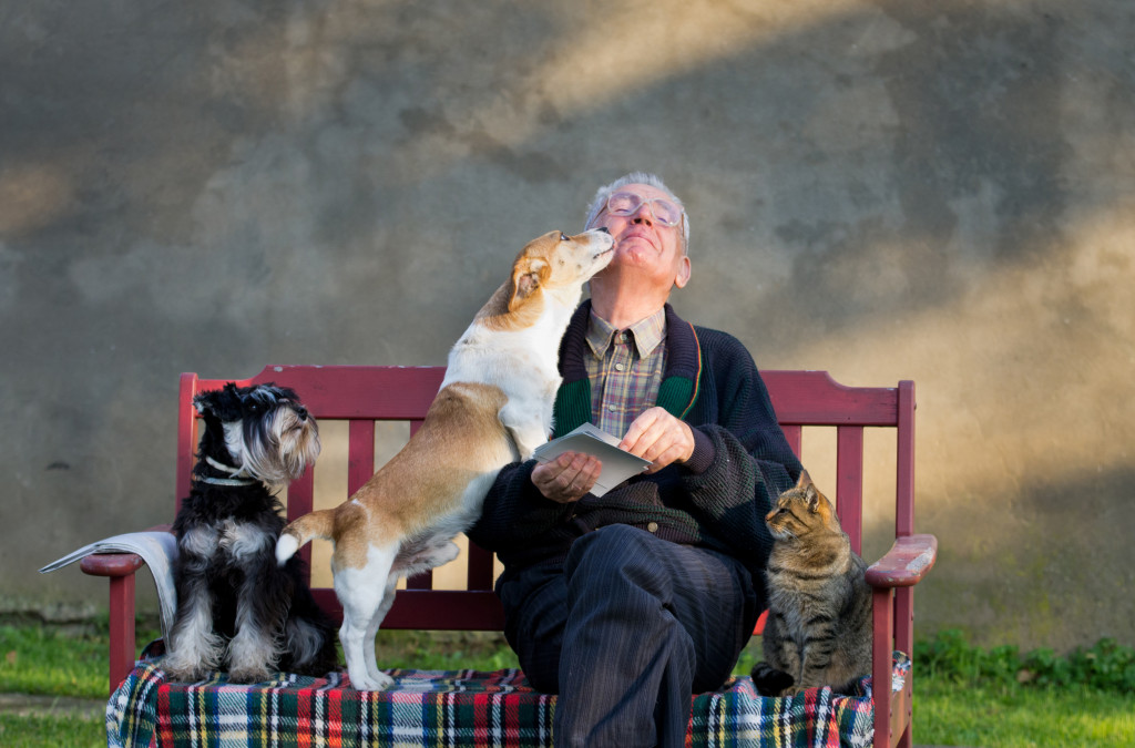 Senior adult sitting on a bench holding a book with two dogs and one cat with her.